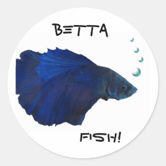 Bettaの魚のステッカー ラウンドシール