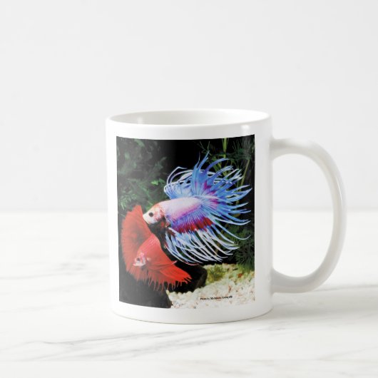 Betta コーヒーマグカップ (右)