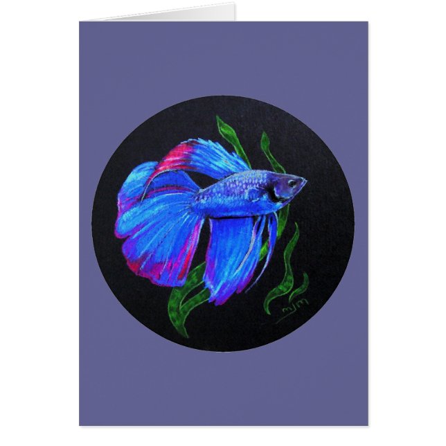 BETTA!!! シャムの戦いの魚 (正面)