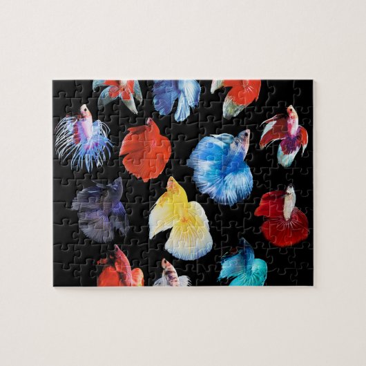 Betta 2 ジグソーパズル (横)