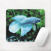 betta,cobalt blue マウスパッド (マウス)
