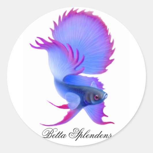 Betta Fighting Fishのシール ラウンドシール (正面)