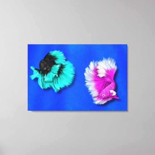 Betta Fish Duo、ブラック&ティール（緑がかった色）、ホワイト&ピンク キャンバスプリント (正面)