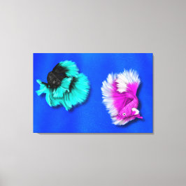 Betta Fish Duo、ブラック&ティール(緑がかった色)、ホワイト&ピンク キャンバスプリント