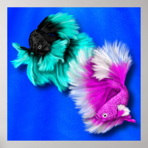 Betta Fish Duo、ブラック&ティール(緑がかった色)、ホワイト&ピンク ポスター