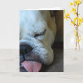Bettieのブルドッグの眠い挨拶状 カード (黄色い花)