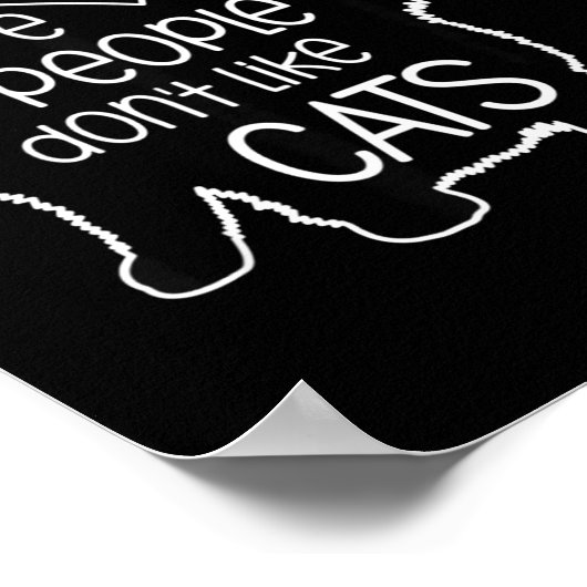 Beware Of People Who Don't Like Cats Funny Fluffy  ポスター (角)