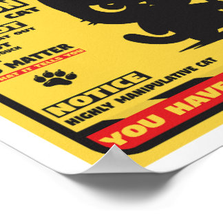 Beware of the cat ポスター