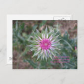 BeWhatYouDream ポストカード (正面/裏面)