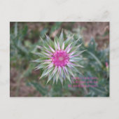 BeWhatYouDream ポストカード (正面)