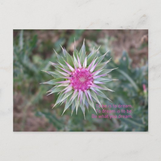 BeWhatYouDream ポストカード (正面)