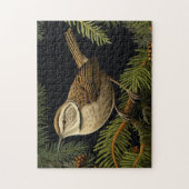 Bewick’s wren on fir branches ジグソーパズル (縦)