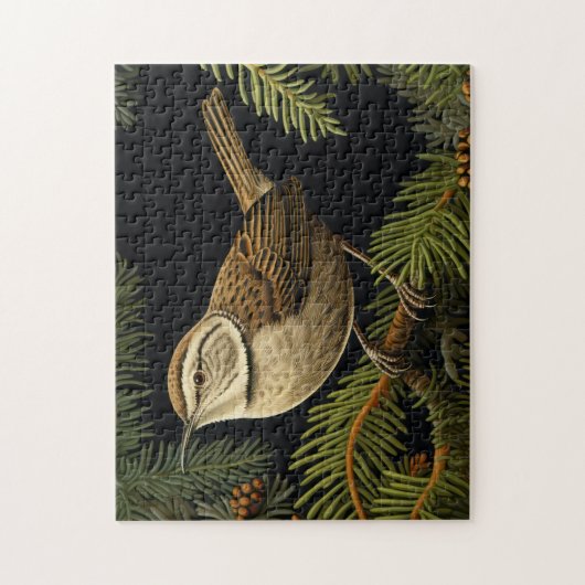 Bewick’s wren on fir branches ジグソーパズル (縦)