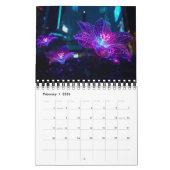 Beyond Collection カレンダー (2月 2026)