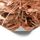 "Beyond The Old Stump"オーストラリア風光明媚なポスター ポスター (角)