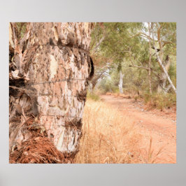 "Beyond The Old Stump"オーストラリア風光明媚なポスター ポスター