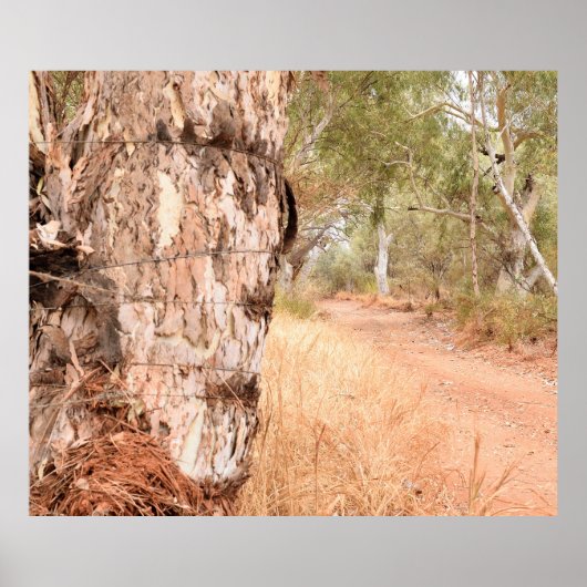 "Beyond The Old Stump"オーストラリア風光明媚なポスター ポスター (正面)