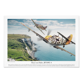 BF109E-4 フォトプリント           