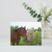 BFFフ最高のォンズ永遠 – 馬 ポストカード (スタンド正面)