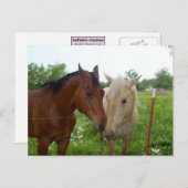 BFFフ最高のォンズ永遠 – 馬 ポストカード (正面/裏面)