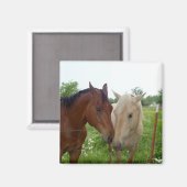 BFFフ最高のォンズ永遠 – 馬 マグネット (正面/裏面)