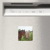 BFFフ最高のォンズ永遠 – 馬 マグネット (インサイチュ (食洗機))