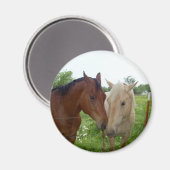 BFFフ最高のォンズ永遠 – 馬 マグネット (正面/裏面)