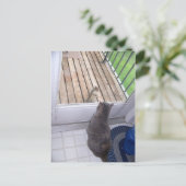 BFF ポストカード (スタンド正面)