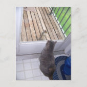 BFF ポストカード (正面)