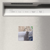 BFF マグネット (インサイチュ (食洗機))