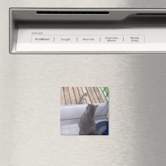 BFF マグネット (インサイチュ (食洗機))