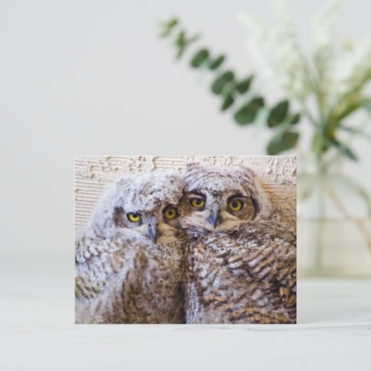 BFF - 最高の Friends Forever ポストカード (スタンド正面)