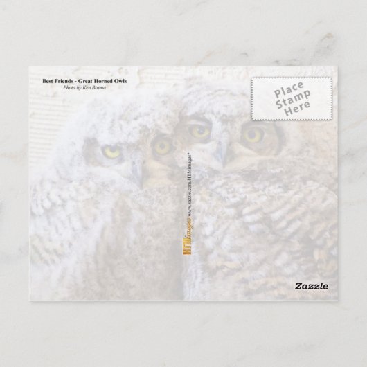 BFF - 最高の Friends Forever ポストカード (裏面)