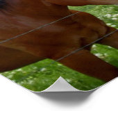 BFF Best Friends Forever ポスター (角)