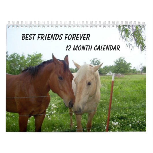 BFF-Friends Forever最高の - 12か月のカレンダー カレンダー (カバー)