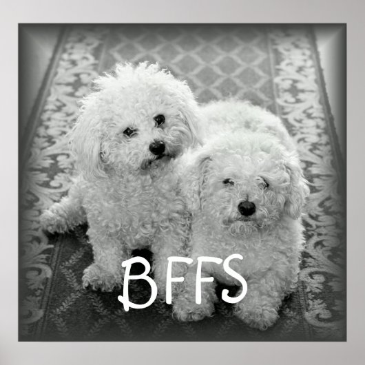 BFFSかわいい犬たちのポスタープリント ポスター (正面)