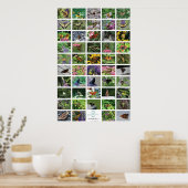 bfly_50_poster ポスター (キッチン)