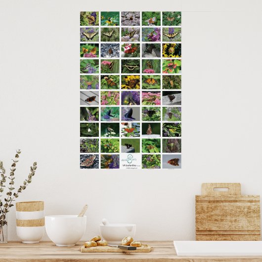 bfly_50_poster ポスター (キッチン)