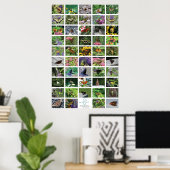 bfly_50_poster ポスター (ホームオフィス)
