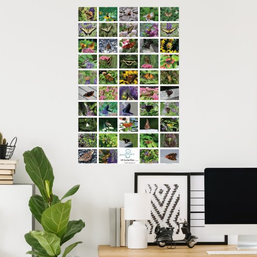 bfly_50_poster ポスター (ホームオフィス)