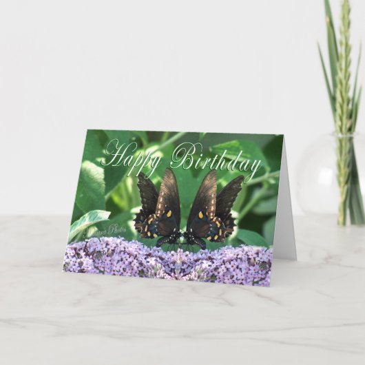 BflyKissesHBDcard カード (正面)