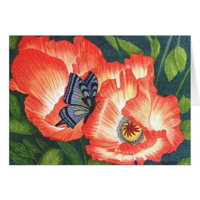 BFLYPOPY (正面横)