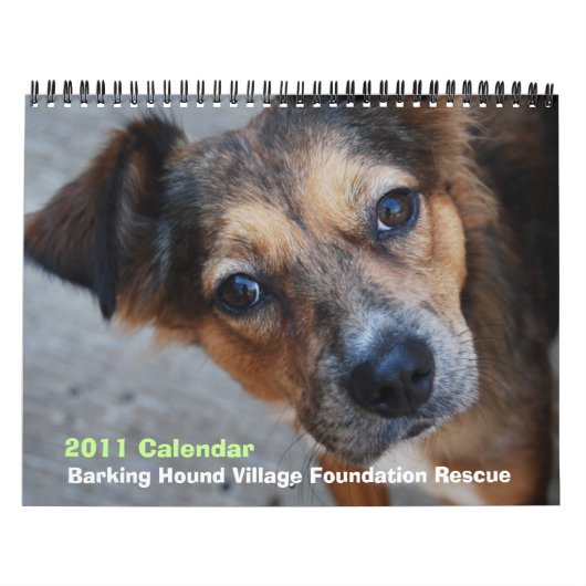 BHVFの救助2011のカレンダー カレンダー (カバー)