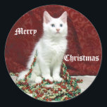 Bianca's Christmas Stickers - Cat / Kitten ラウンドシール<br><div class="desc">ビアンカは素晴らしい小さなレスキュー猫だ。彼女は、このクリスマスシーズンの歓声を高いファッションで広めるのを助けることを愛する。</div>