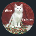 Bianca's Christmas Stickers - Cat / Kitten ラウンドシール<br><div class="desc">ビアンカは素晴らしい小さな救助子猫だ。 彼女は高いファッションの救済このクリスマスシーズンに応援を広げることを愛する。</div>