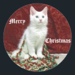 Bianca's Christmas Stickers - Cat / Kitten ラウンドシール<br><div class="desc">ビアンカは素晴らしい小さなレスキュー猫だ。彼女は、このクリスマスシーズンの歓声を高いファッションで広めるのを助けることを愛する。</div>
