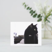 Bibles and Black Cat Postcard Print by JH Thornton ポストカード (スタンド正面)