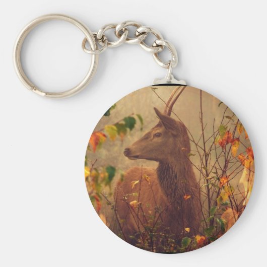 Bicheウマビッシュ(フランソワ・ヴィル) キーホルダー (正面)