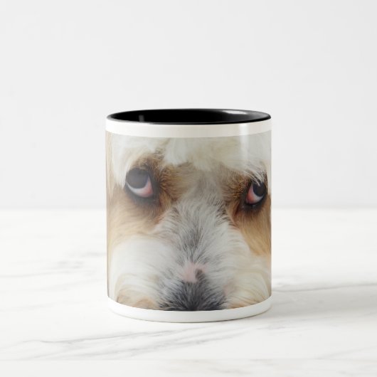 bichonのfrise犬のユーモアのあるなクローズアップ ツートーンマグカップ (中央)