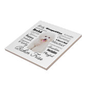 Bichon特性タイル タイル (側面)